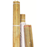 Natural Bamboo Stakes