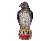 Bird B Gone Hawk Decoy