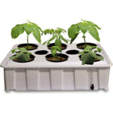 Water Garden Indoor Grow Kit