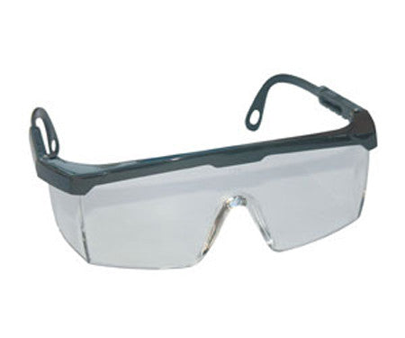 Hornets Safety Glasses with Sides