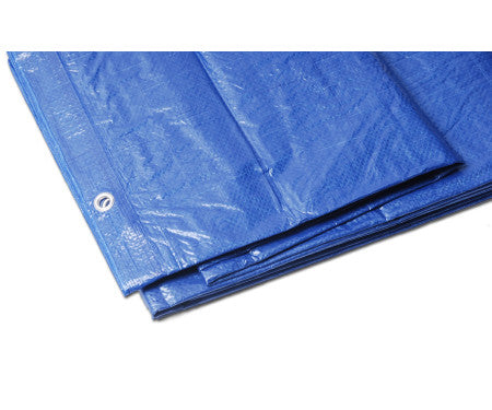 Blue Tarp